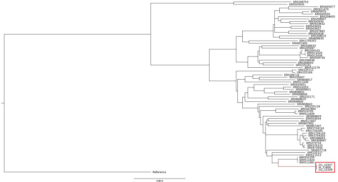 Fig 3