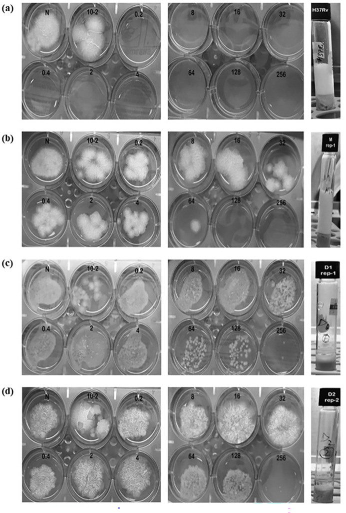 Fig 4