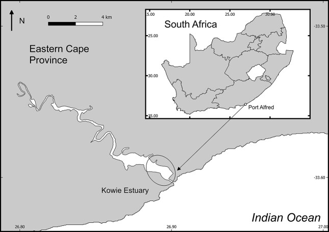 Fig. 1
