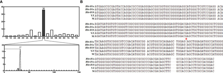 Figure 1
