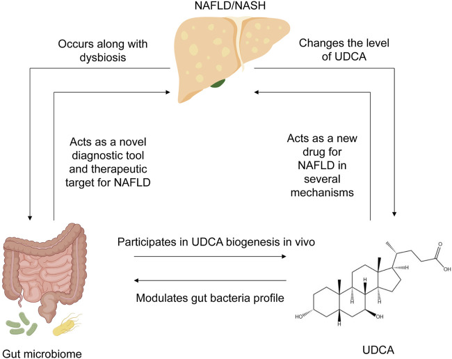 FIGURE 1