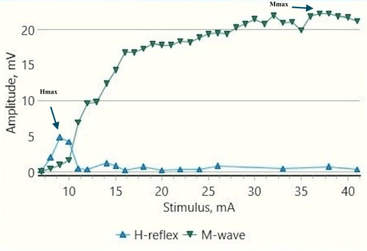Figure 11