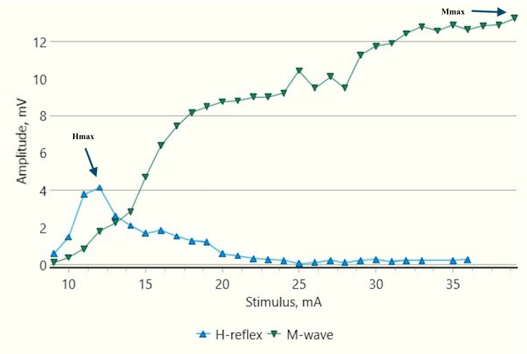 Figure 13