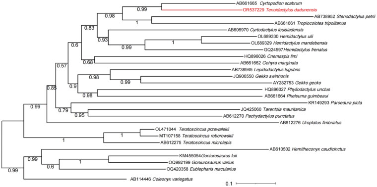 Figure 3