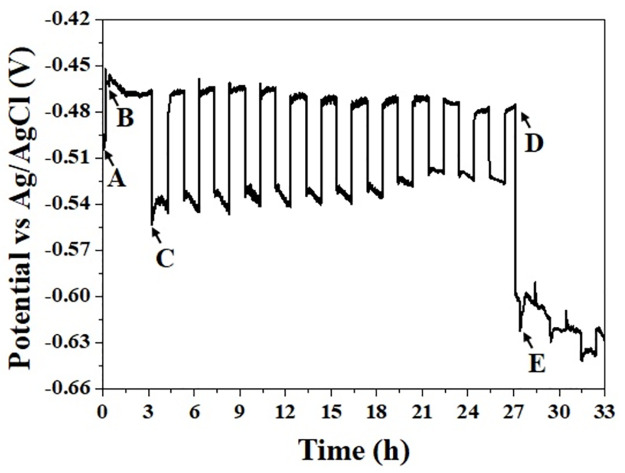 Fig 5