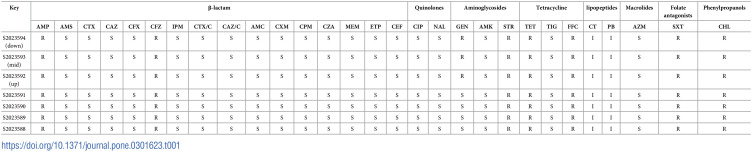 Figure 5
