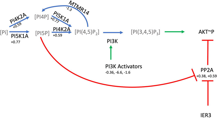 Figure 7