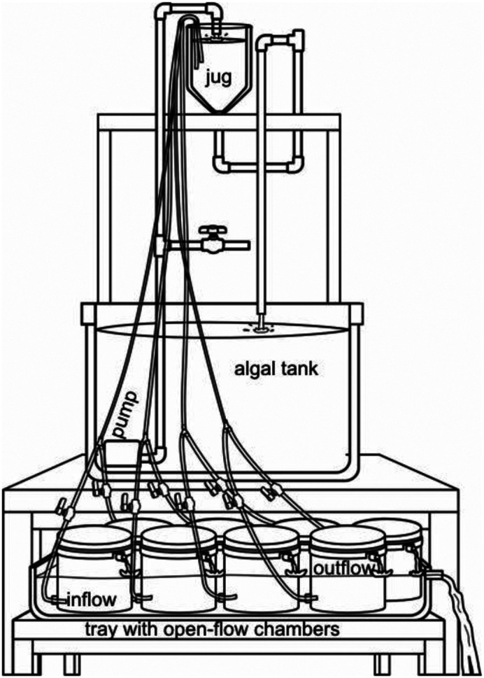 Fig. 2