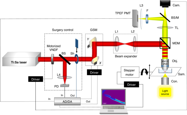 Figure 7