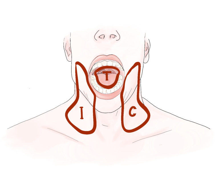 Figure 1
