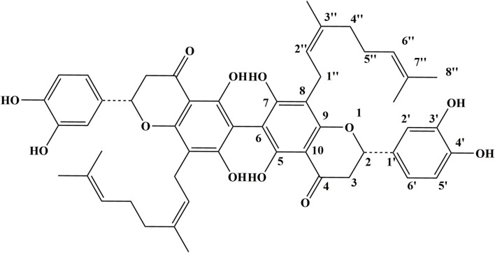 FIGURE 1