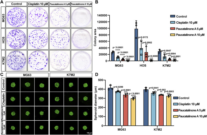 FIGURE 4
