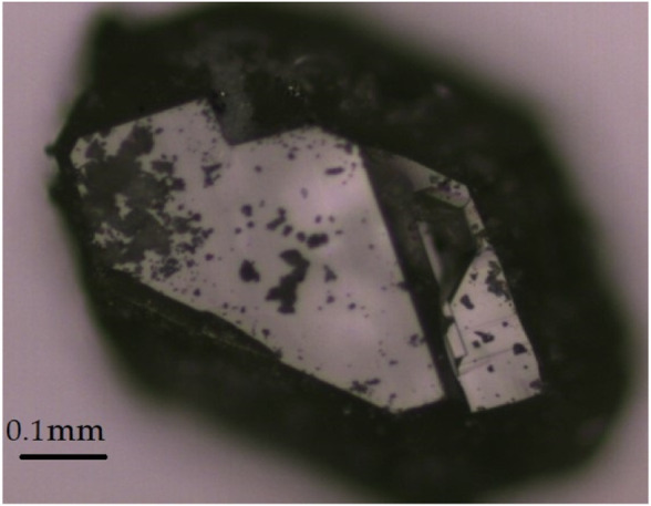 FIGURE 2