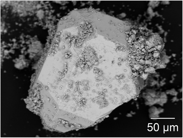 FIGURE 11