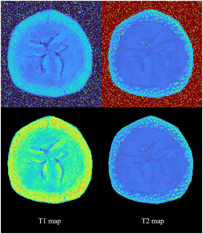 Figure 4