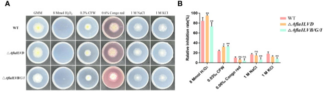Figure 2
