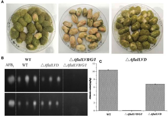 Figure 3