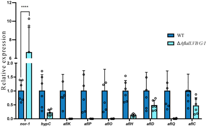 Figure 6