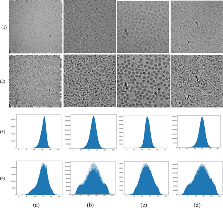 Fig 3