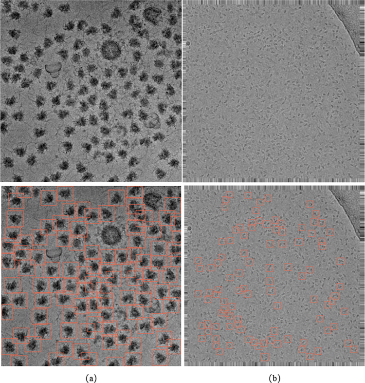 Fig 9
