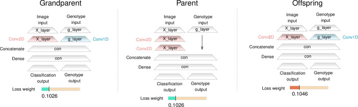 Fig 5