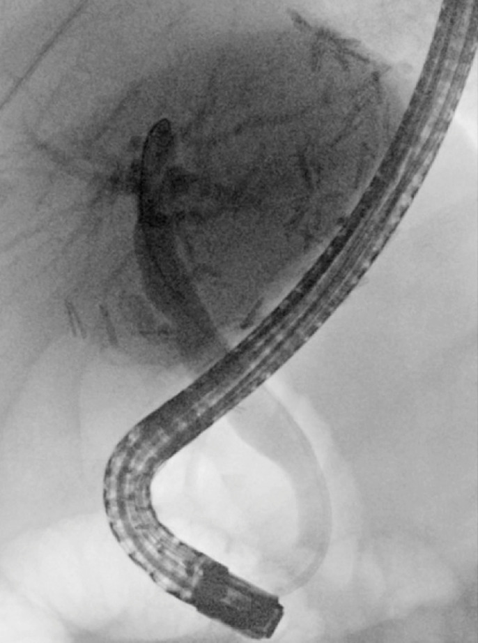 Fig. 5