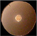 Figure 21