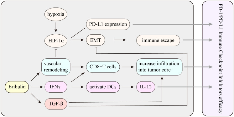 Figure 6