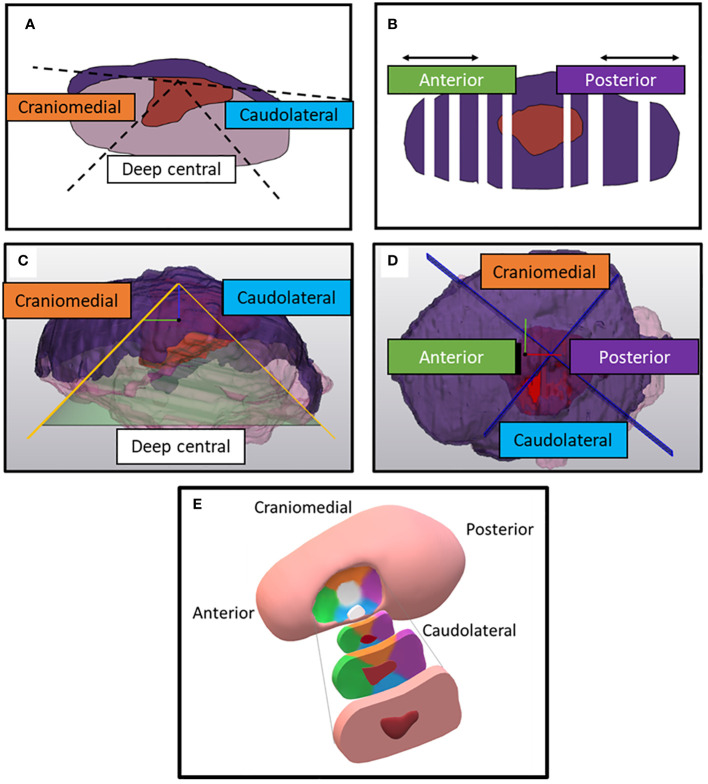 Figure 2