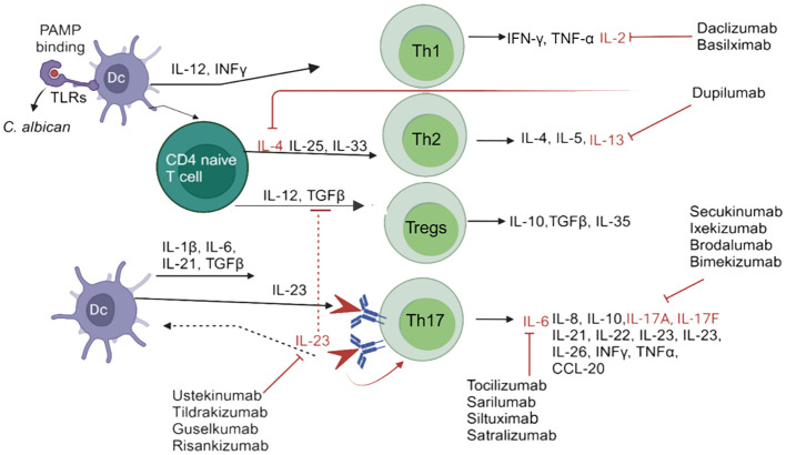 Figure 1