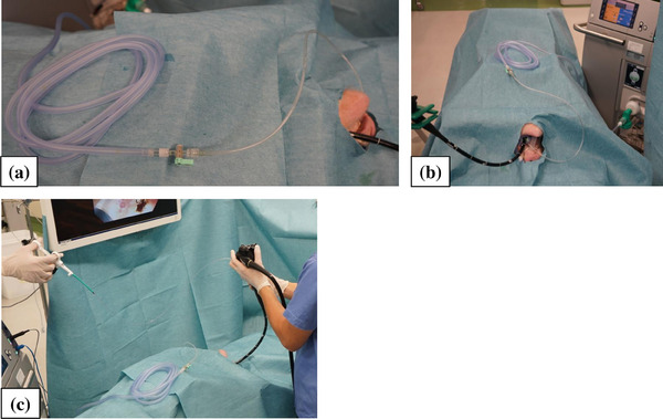 FIGURE 2
