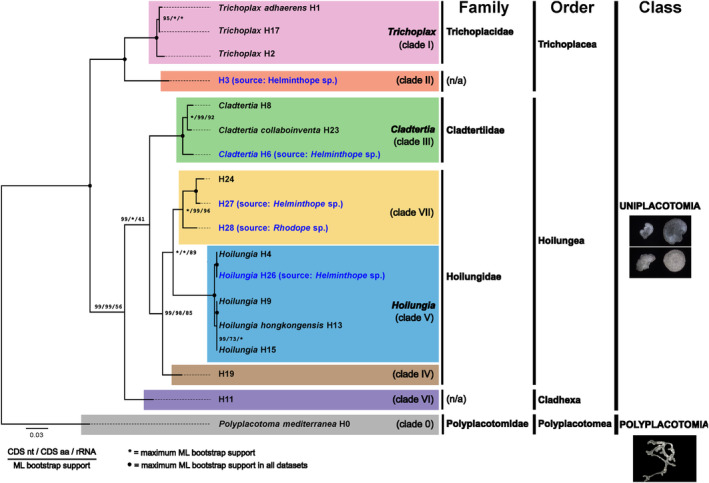 FIGURE 1
