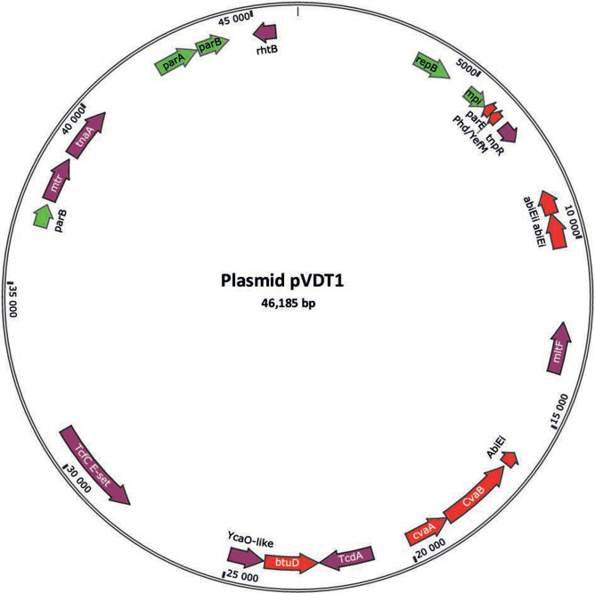 Fig 1