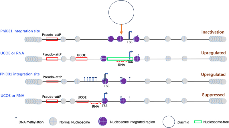Figure 11