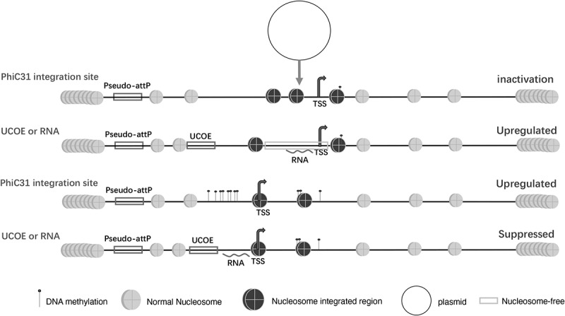 Figure 12