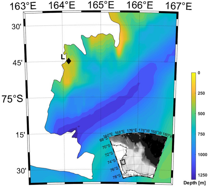 Figure 5