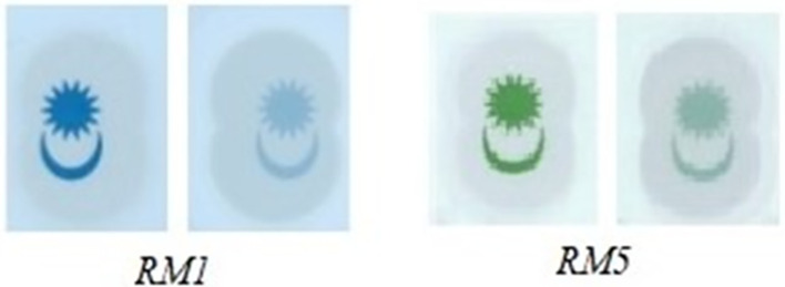 Figure 13