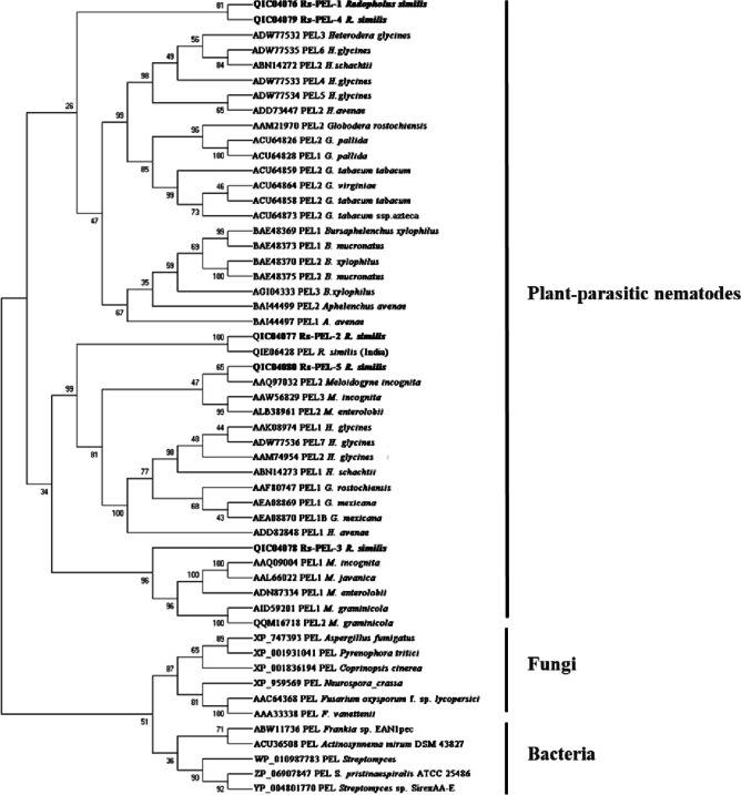 Figure 5