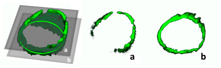 Figure 8