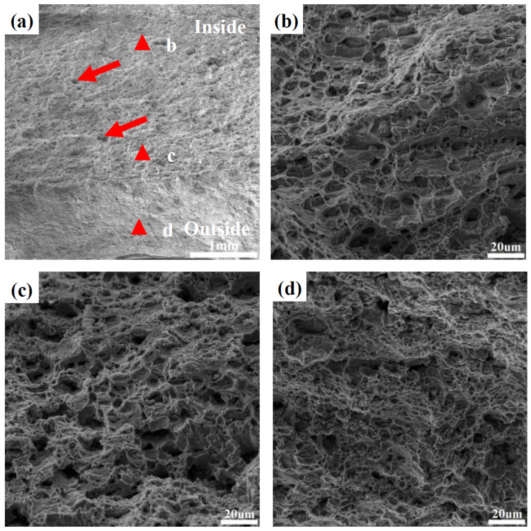 Figure 9