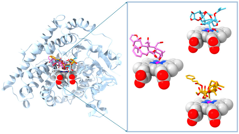 Figure 5