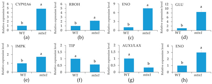 Figure 9