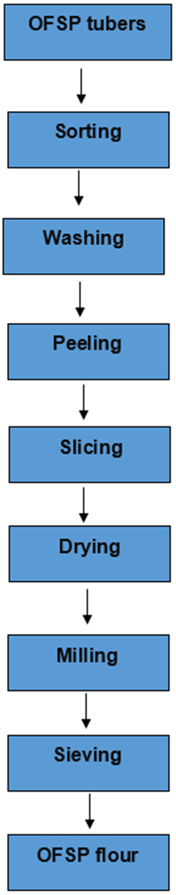 FIGURE 3