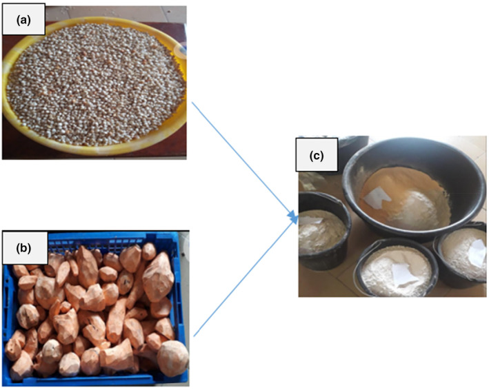 FIGURE 1