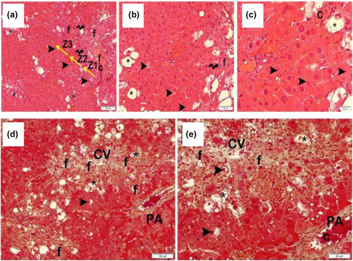 FIGURE 3
