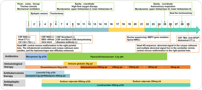 FIGURE 1