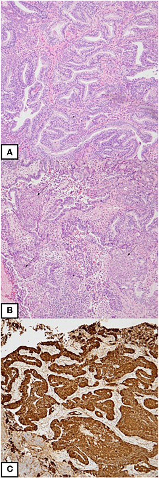 Figure 3