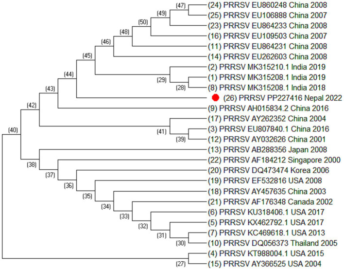 Figure 4