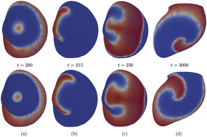 Figure 24
