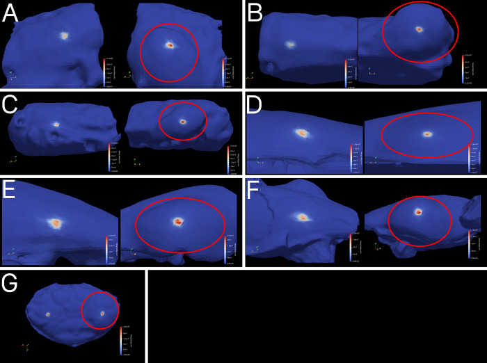 Fig 4
